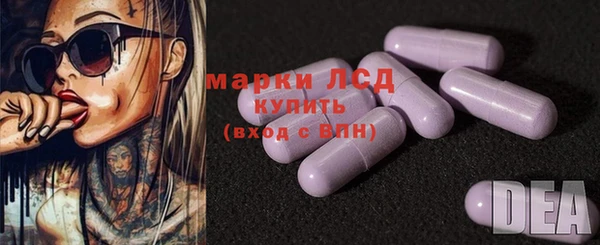 стафф Майский