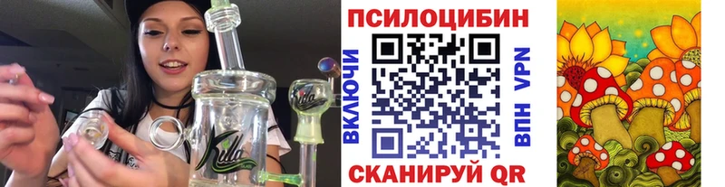 Галлюциногенные грибы Cubensis  Новоалександровск 