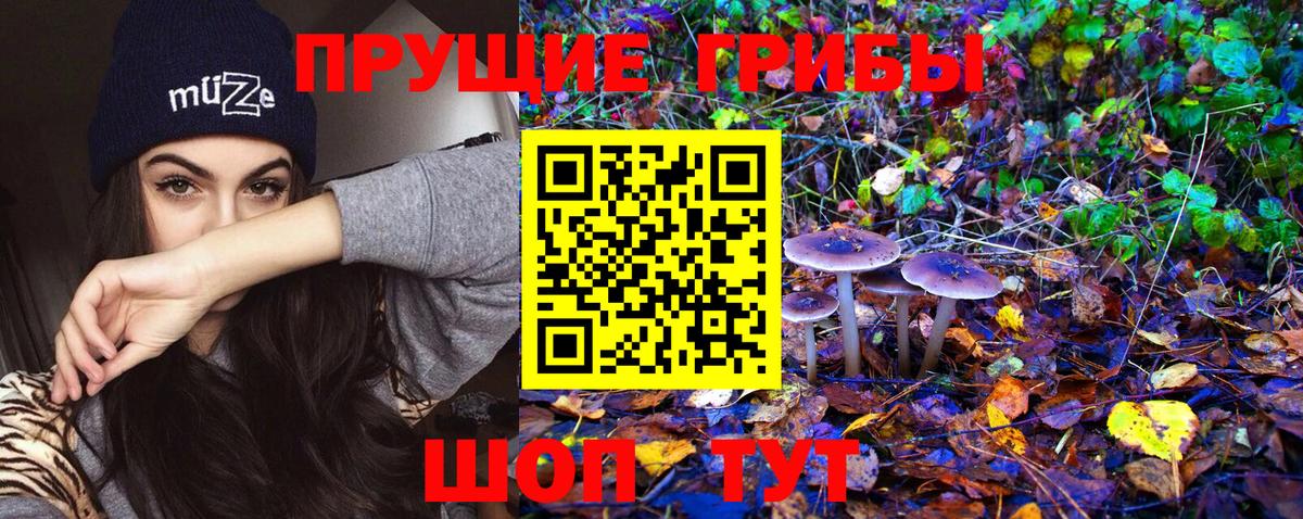 Новоалександровск  Галлюциногенные грибы Psilocybine cubensis  Вход с VPN  сколько стоит  Псилоцибиновые грибы ЛСД 