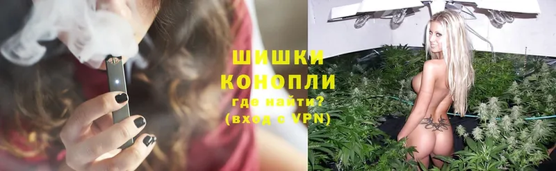 shop телеграм  Новоалександровск  Шишки марихуана Ganja 